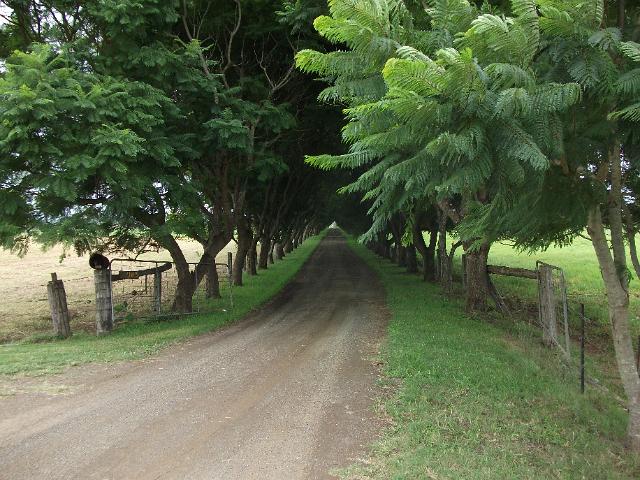 manning waters 002.JPG